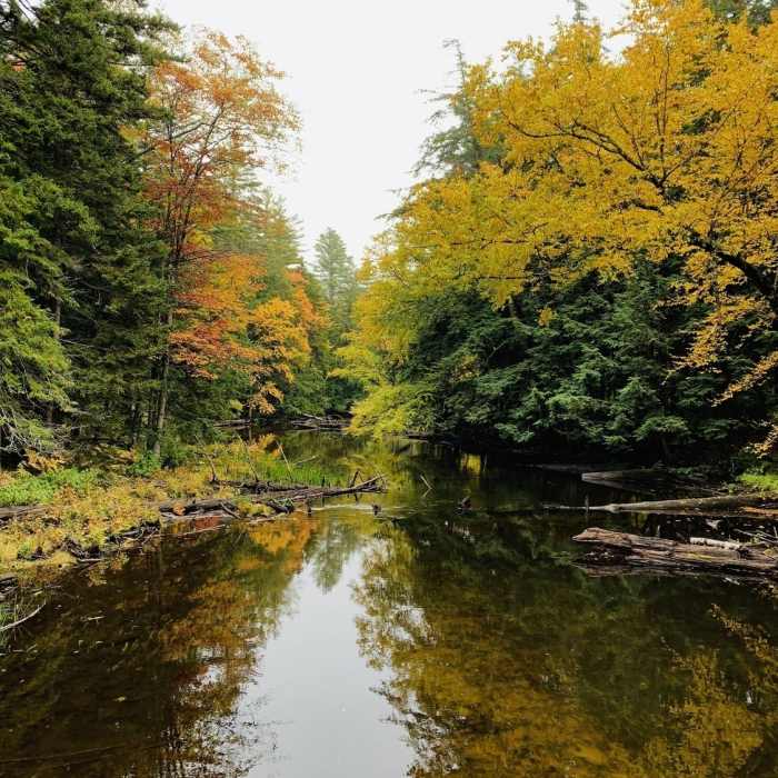 Fish Creek from Bridge Near Floodwood Loop Trail