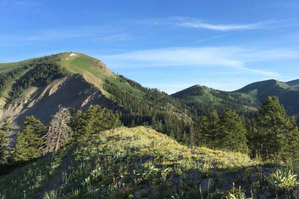 Fleming Canyon