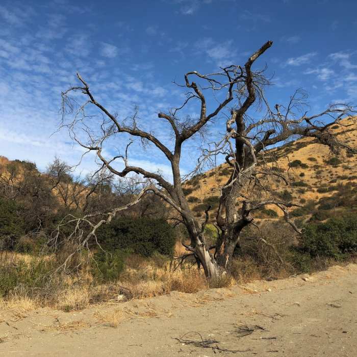 Near Las Llajas-Rocky Peak-Chumash Loop
