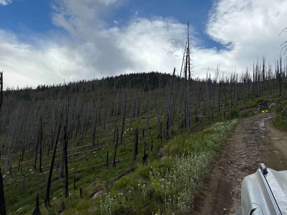 Burnt Knob photo 6