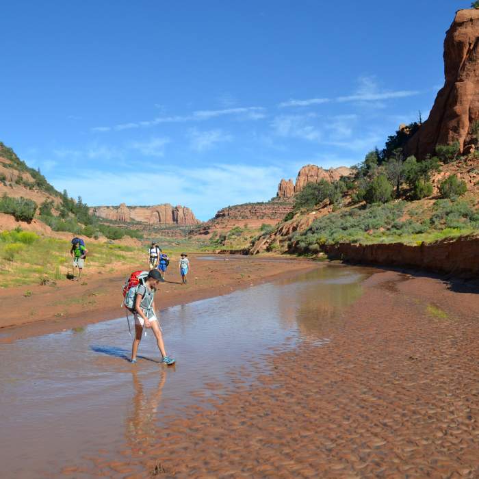 Crossing Laguna Creek. Near Keet Seel