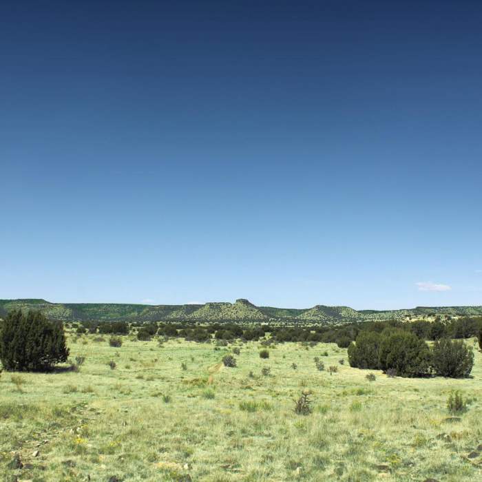 Near Black Mesa Nature Preserve