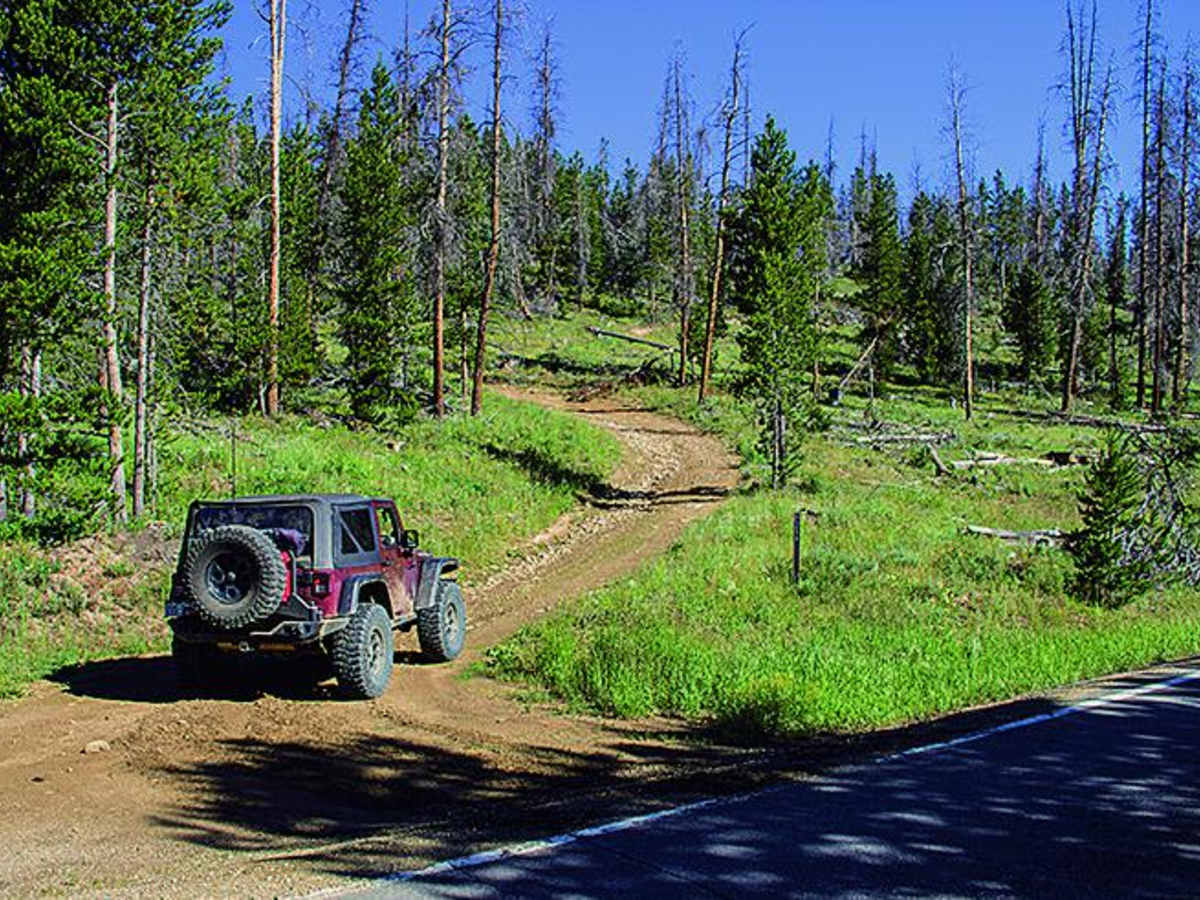 Mulstay Creek trail photo