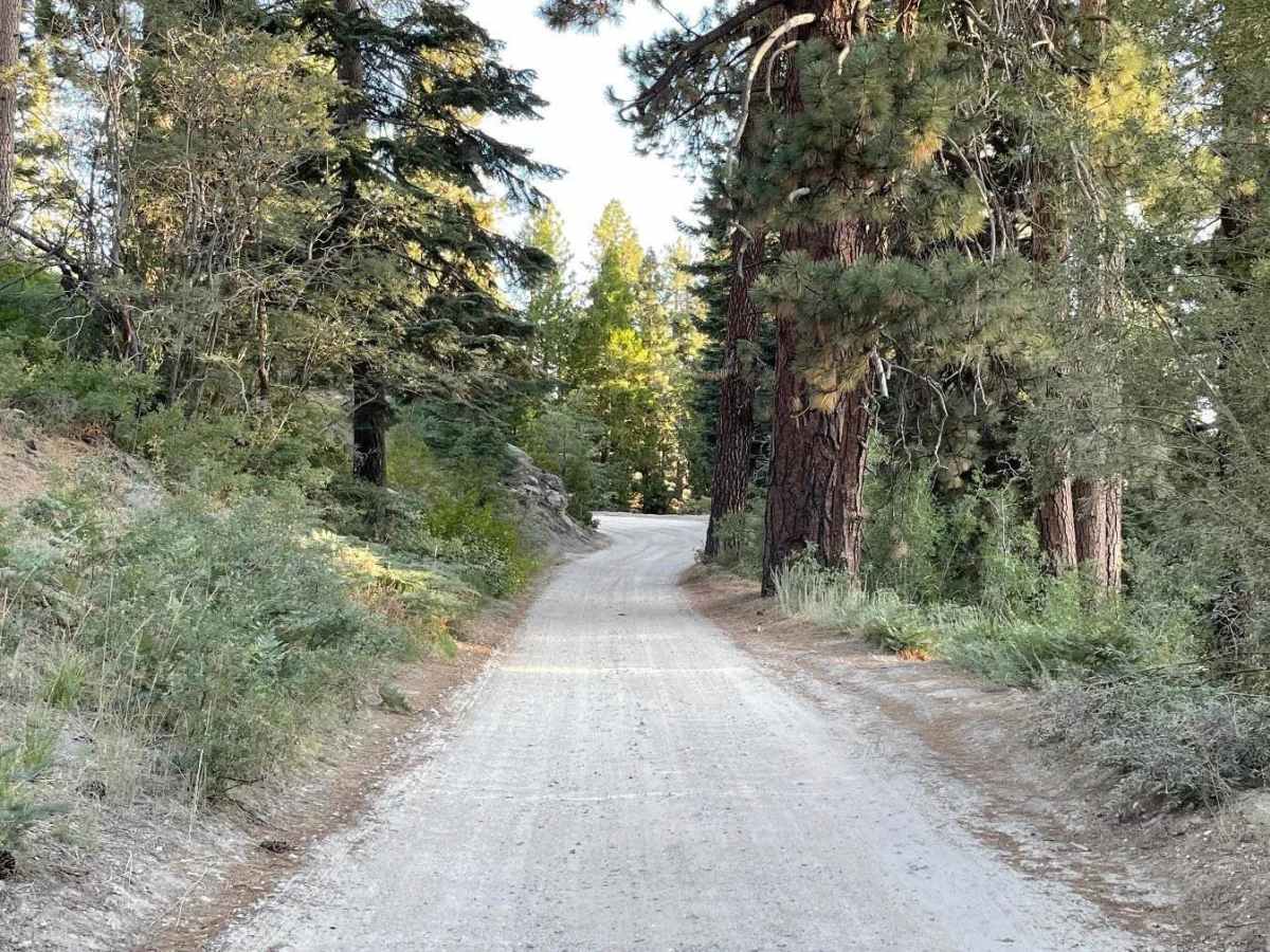 Mill Creek - FS 2N10 trail photo