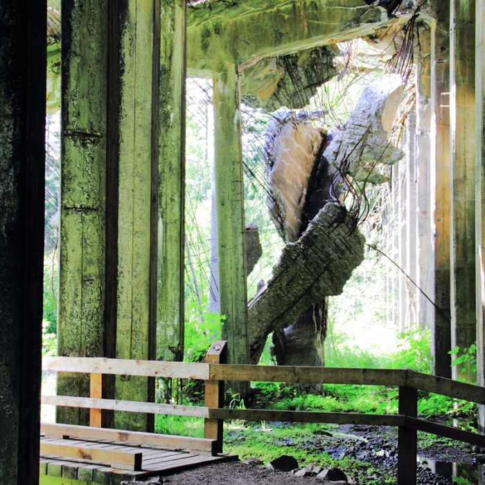 Near Iron Goat Trail