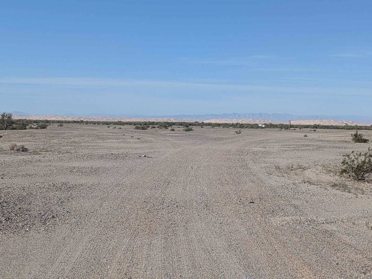 BLM 771 photo 4