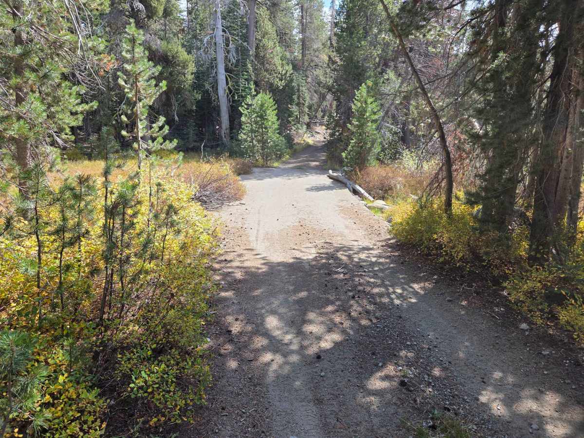 Richardson Lake 4WD photo 4