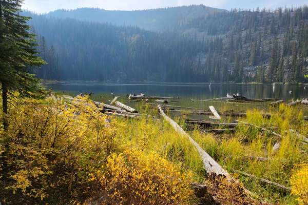 Hawkins Lakes