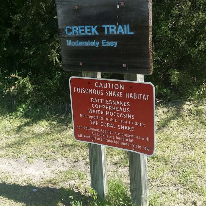 Near Cottonwood Creek Preserve