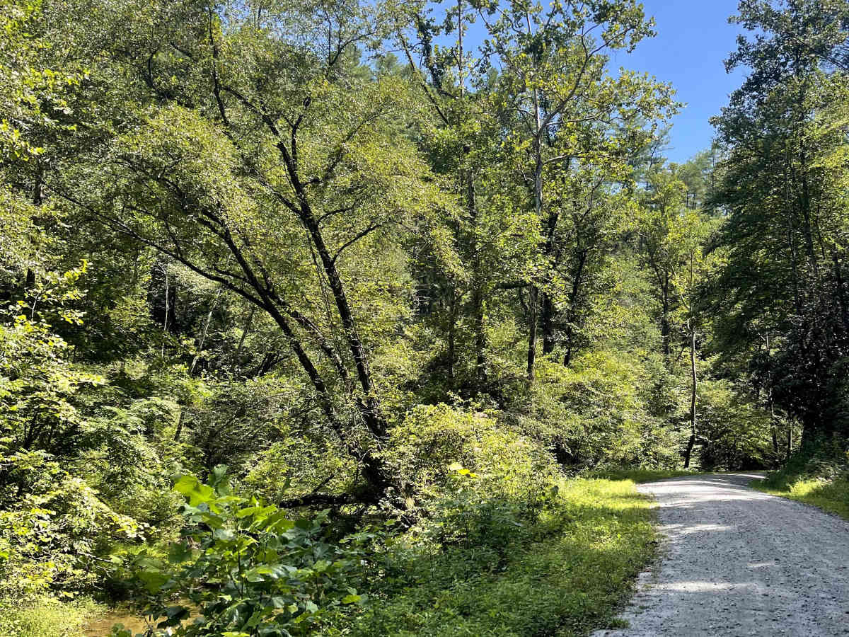 Mulberry Creek Road photo 3