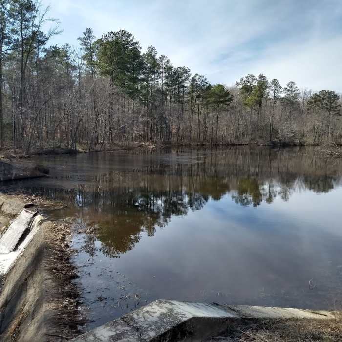 Near Bright Hope Trail and Otter Lick Loop