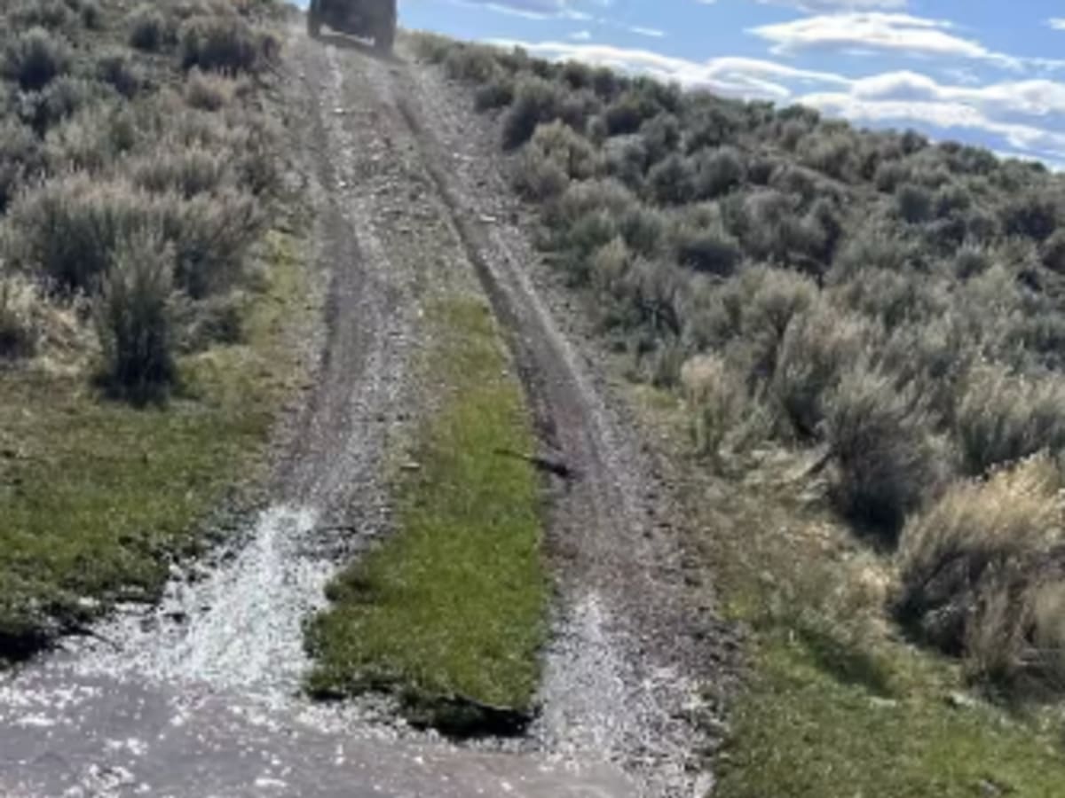 Domingo to Hart Mountain photo 5