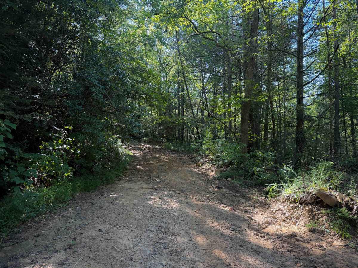 Louse Creek Trail 20  photo 6