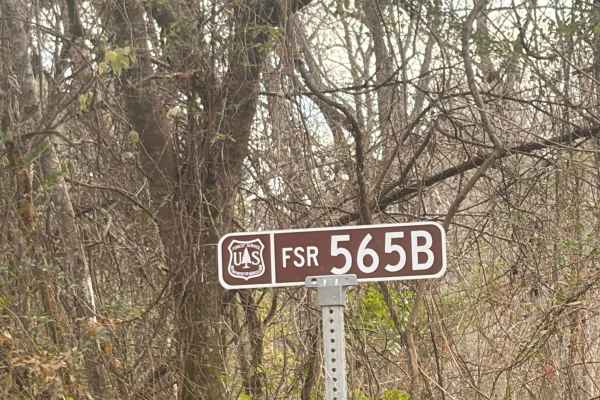 FS 565B