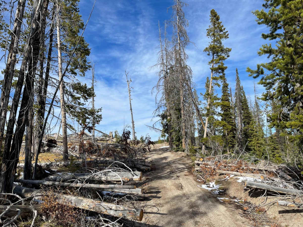 West End of Stateline Road photo 6