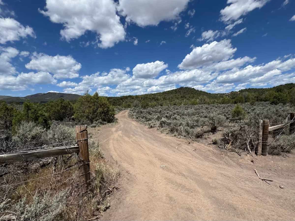 BLM 8473 trail photo