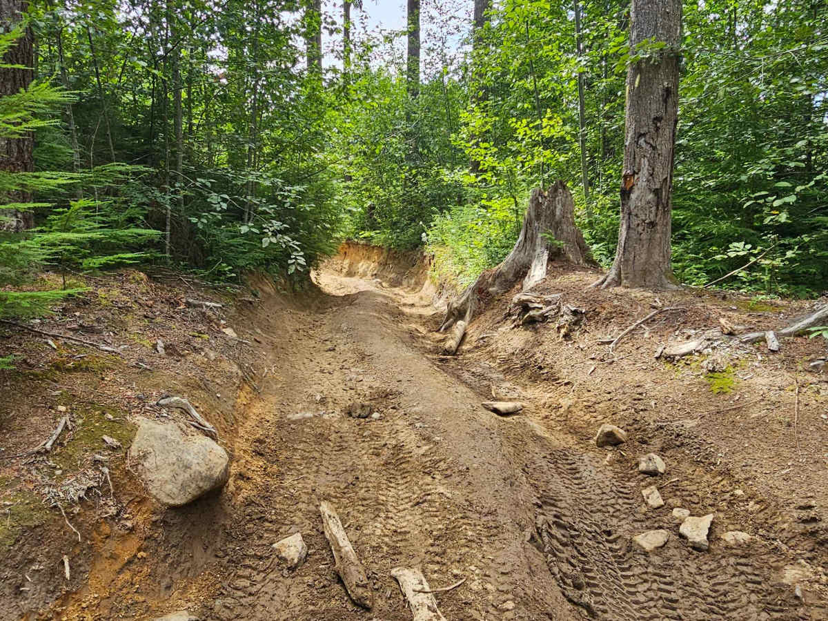 Busywild Trail photo 2