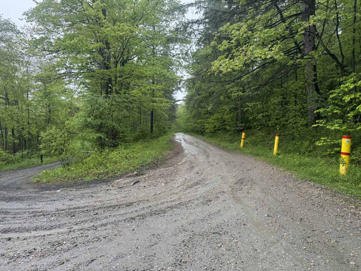 Lenox Whitney Place Road photo 6