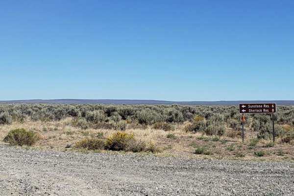 Sunstone Collection Area