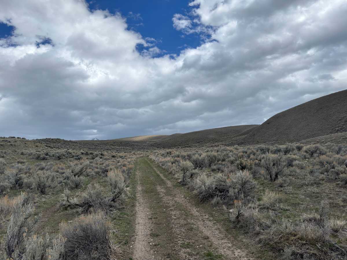 BLM Trail 137 photo 3