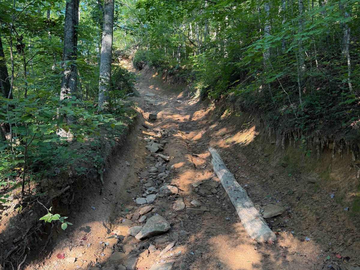 Ivydell Trail photo 5