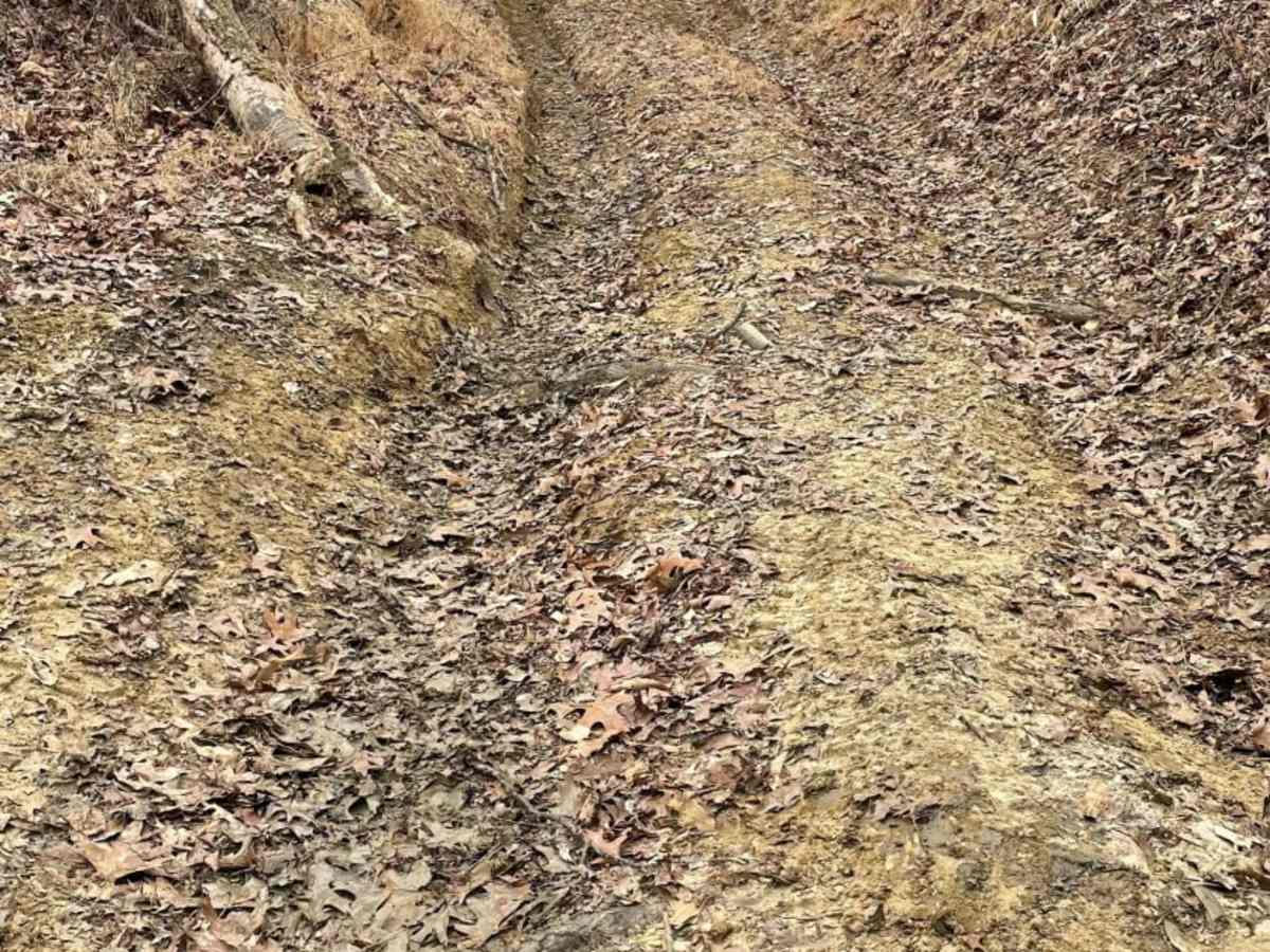 Redbird Trail 5x photo 6
