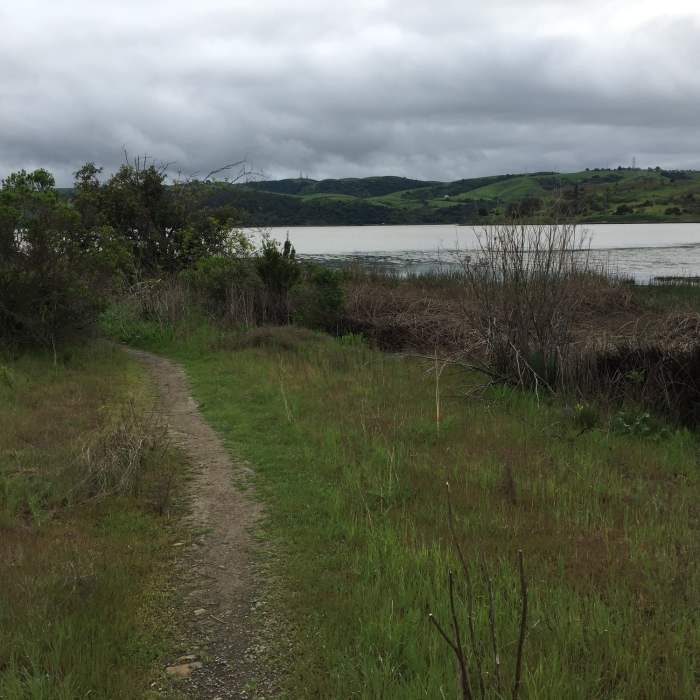 Near Hike and Bike Trail