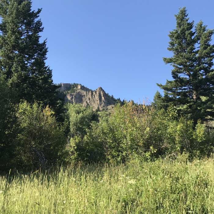 Near Middle Cottonwood Trail