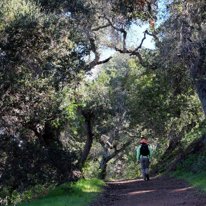 Near Trespass - Gaviota Peak