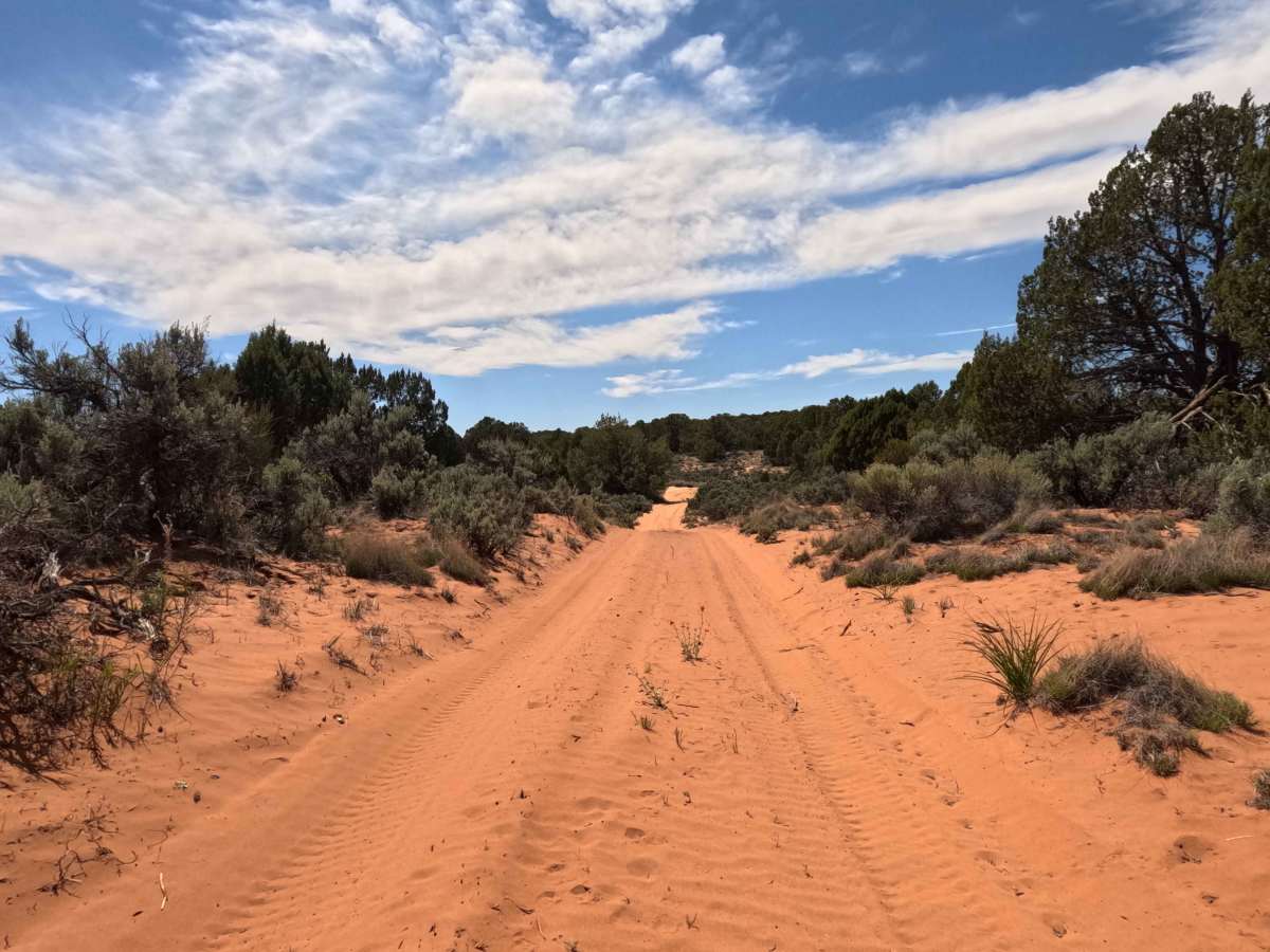 BLM 1013B trail photo