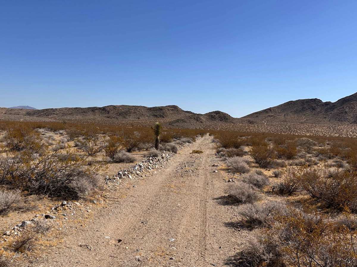 Tamarisk Mine Loop photo 6