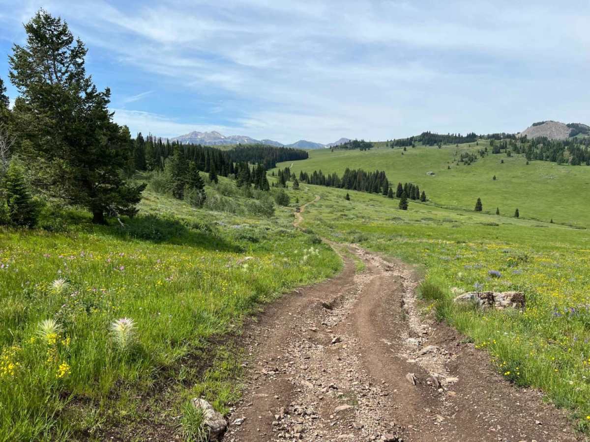 Lone Tree Pass-Deer Mountain Road photo 2
