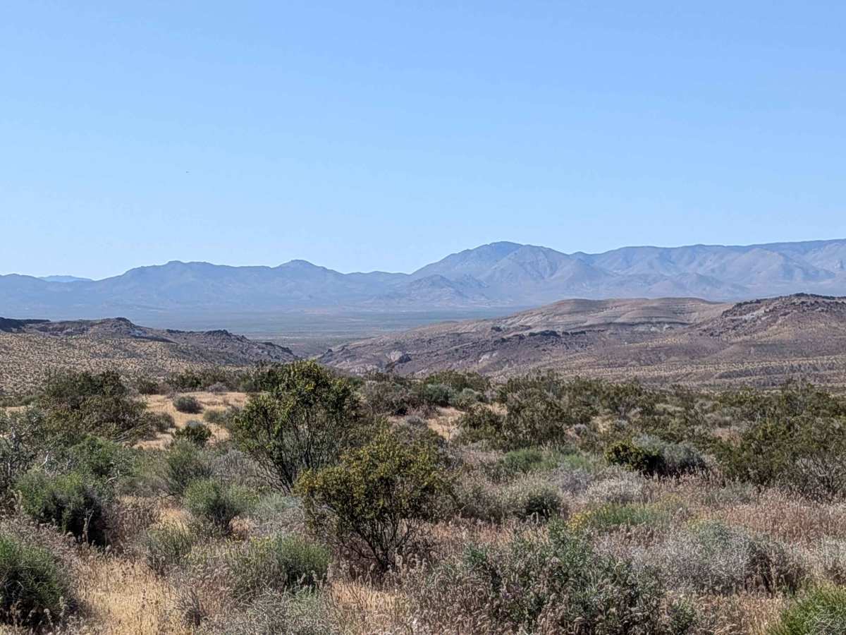 Bonanza Gulch - BLM EP15 photo 2