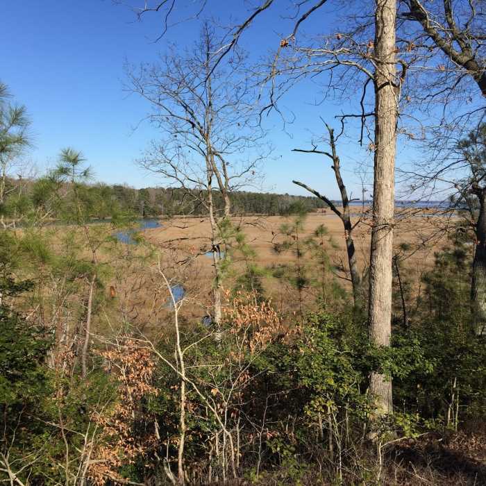 Enjoy plentiful views of Queens Creek from the New Quarter Park Loops. Near New Quarter Park Loops