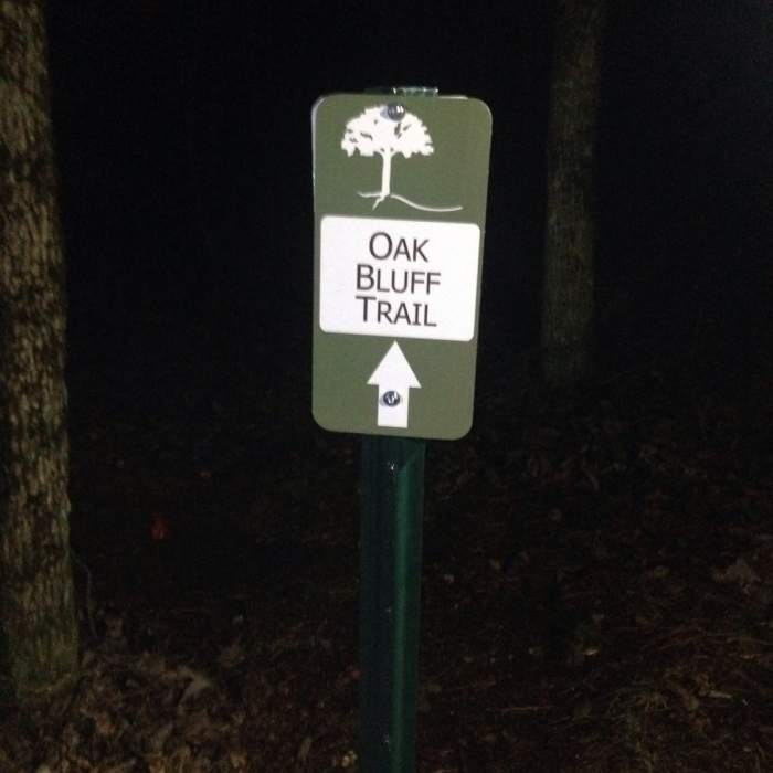Near Stone Fly Trail