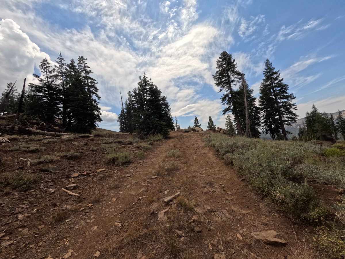 Quartz Mountain Top - FS 5S040XD photo 2