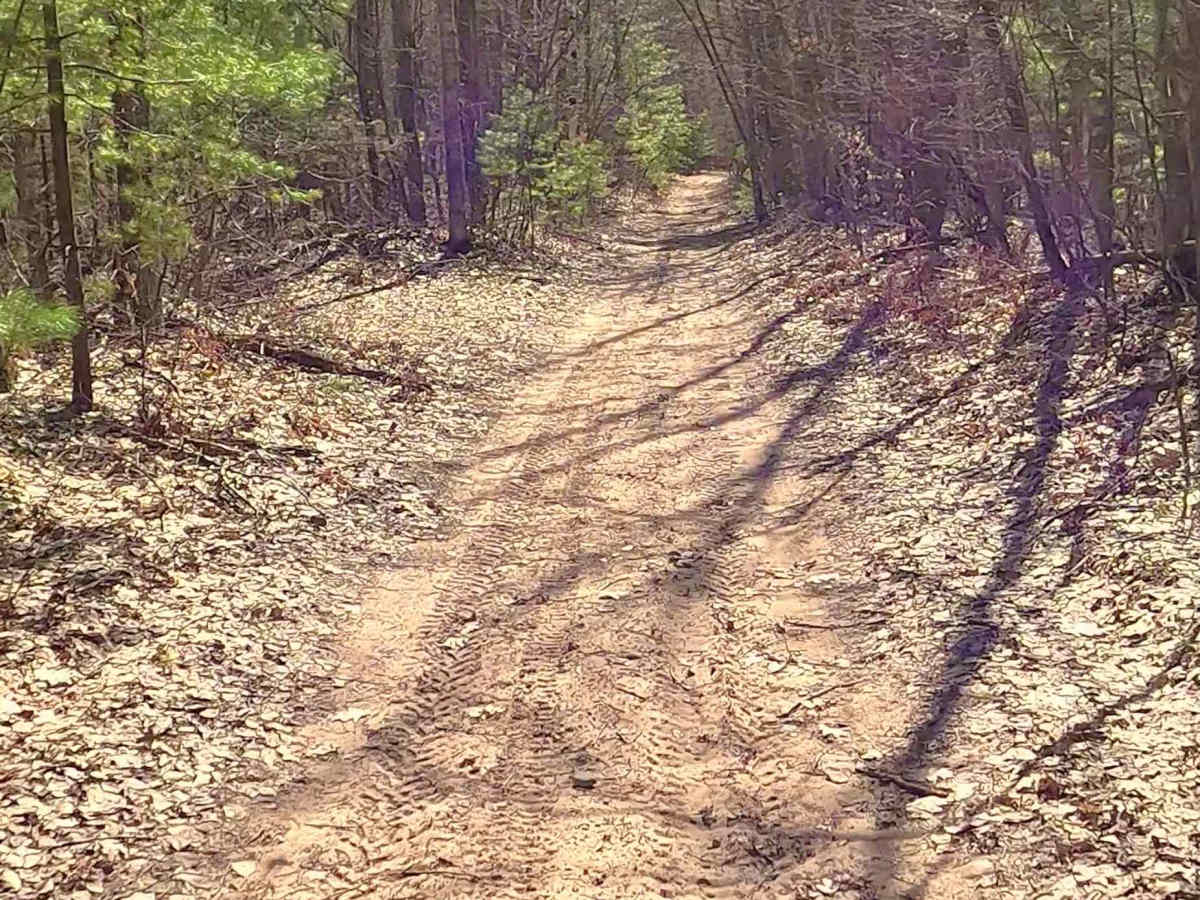 ORV H-57 : Mack- Maltby Hills Loop photo 6