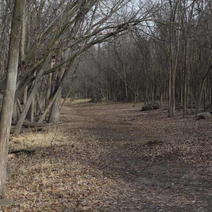 Near Minnesota Valley State Recreation Area Hiking Club Trail