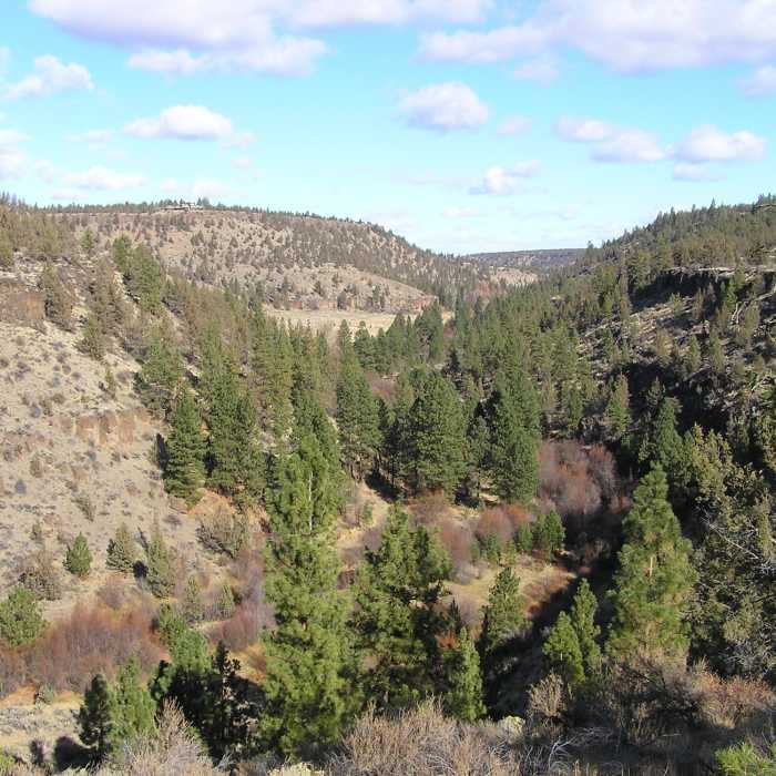 Near Whychus Canyon Loop