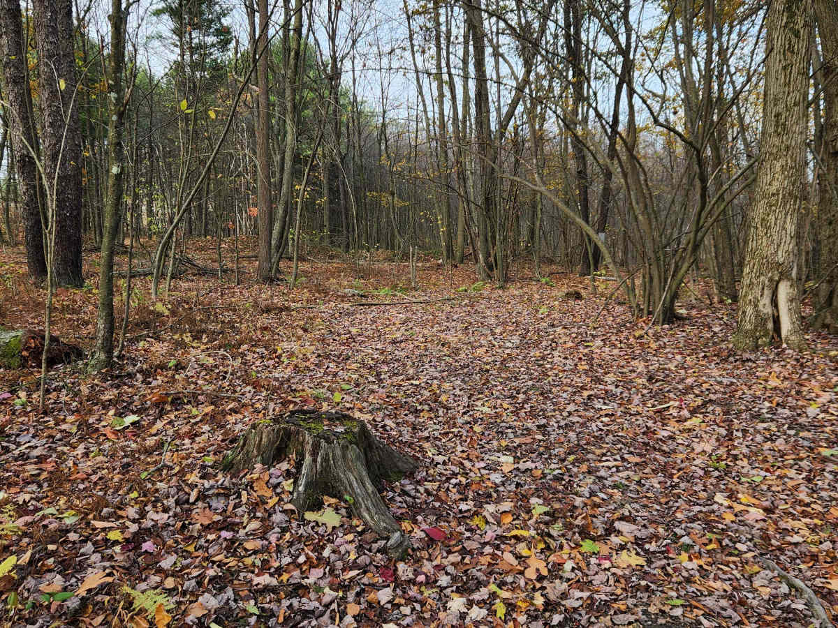 OHV 8 - Rock Run Recreation Area photo 6