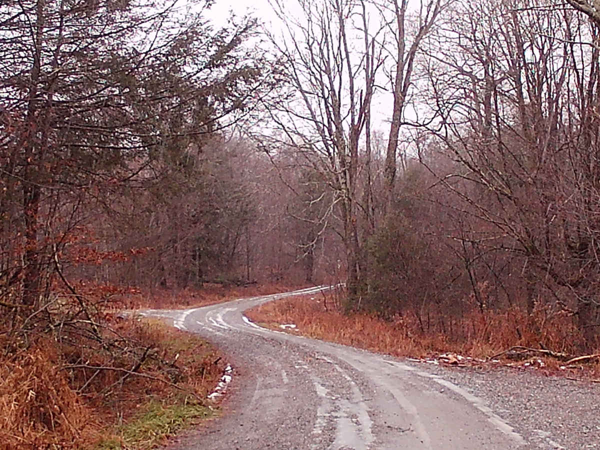 Huckle Run Road photo 4