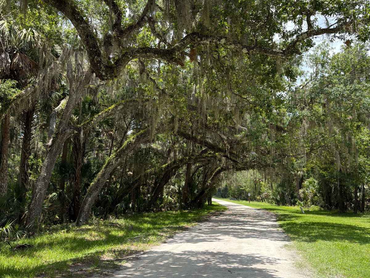 Volusia Bar Road trail photo