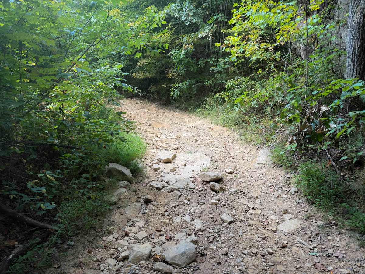 Signal Mountain Trail 29   photo 3