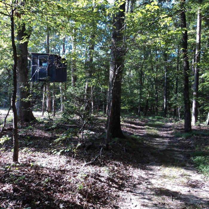 Near Horseshoe Trail