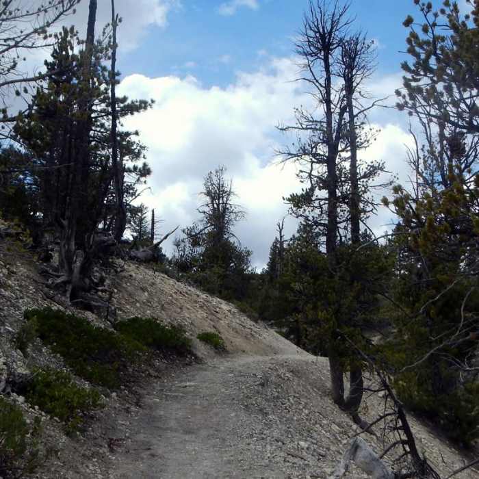 Near Under-the-Rim Trail to Hat Point