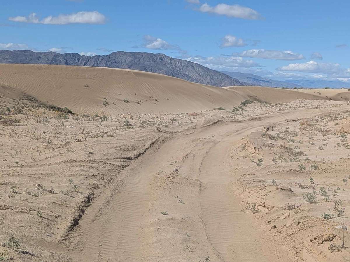 BLM 197 photo 6