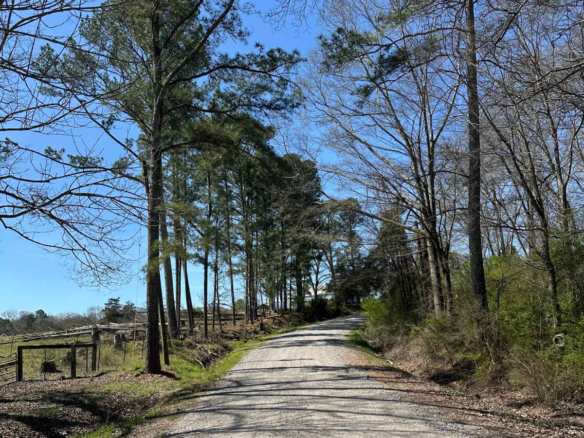 Suttles Road trail photo