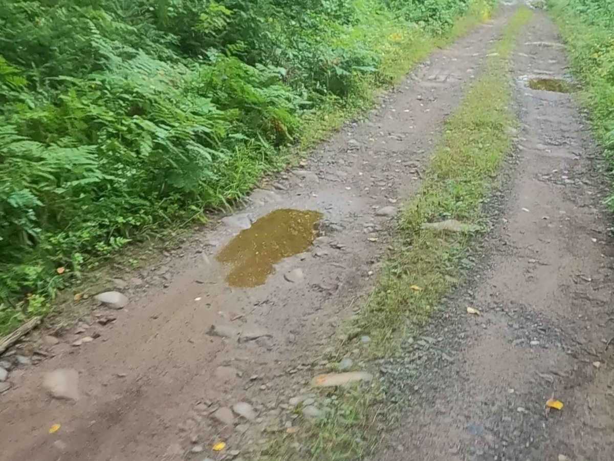 Lukes Road photo 2
