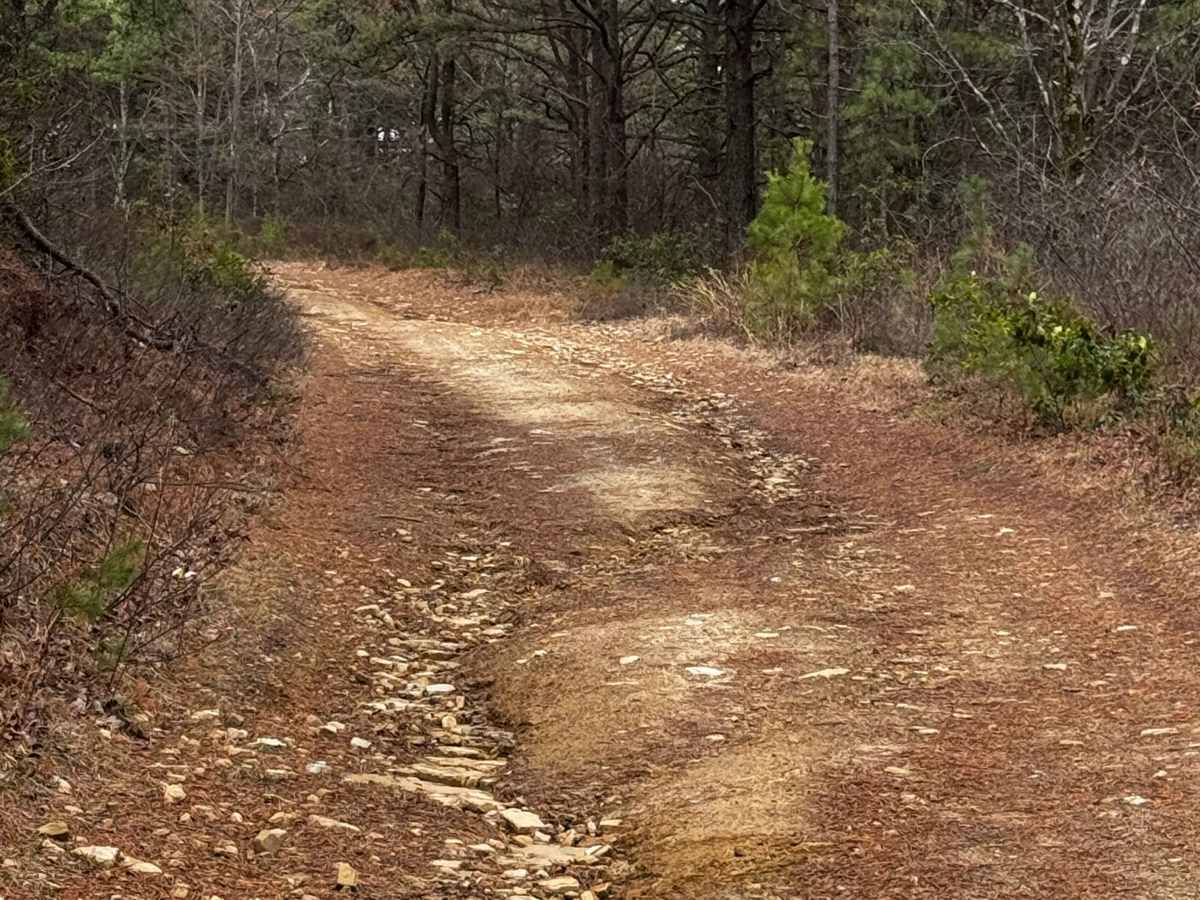 Slide Hollow Trail photo 4