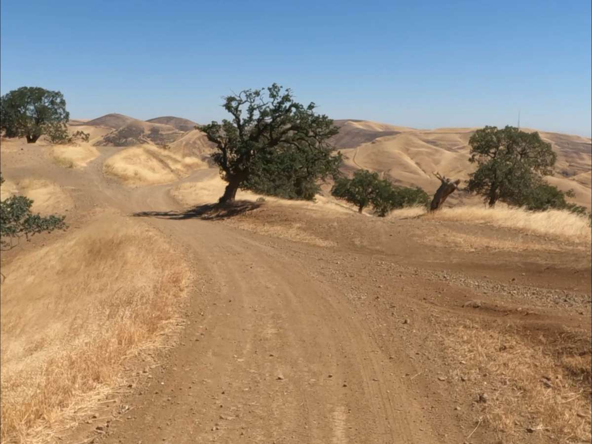 Juniper Trail photo 3